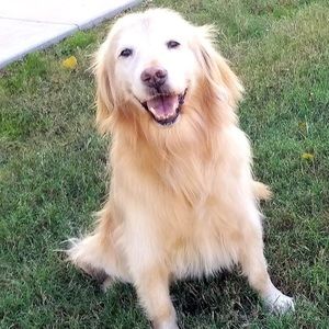 Meet your Posher, Marcia